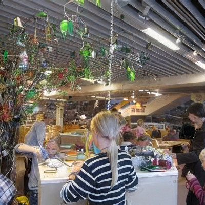 The Tree of Evolution