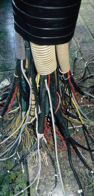 The Tree of Knowledge